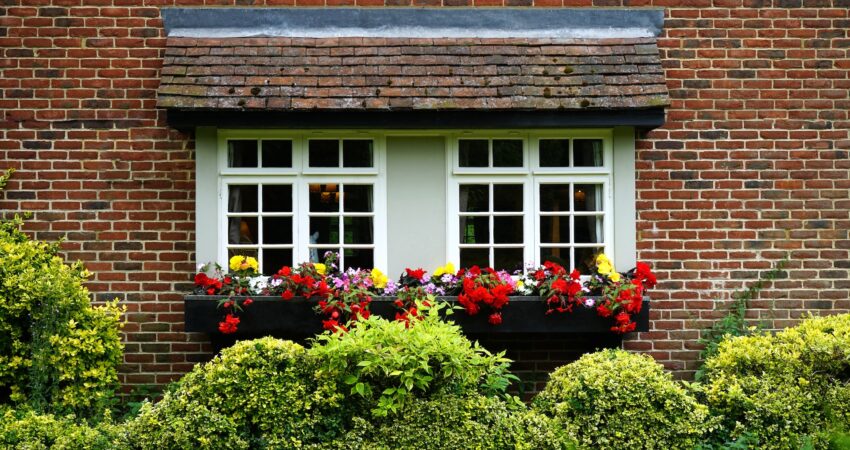 best way to takecare of your garden