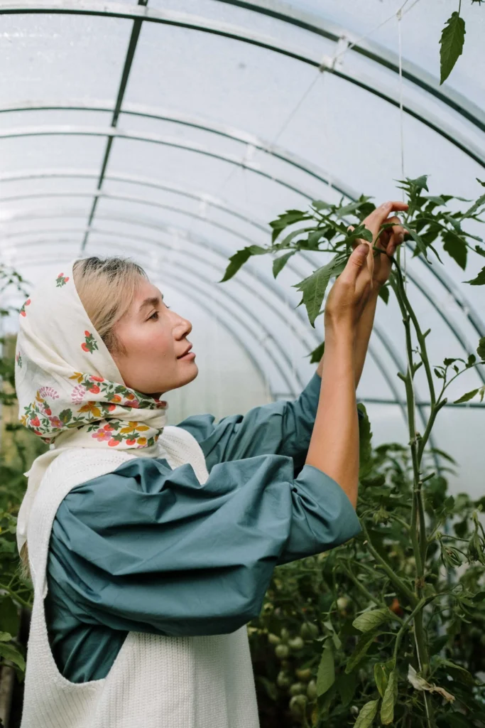 checking plants for infestation