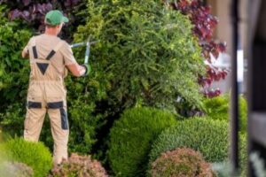gardening service in kathmandu