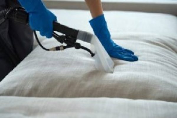 sofa cleaning services